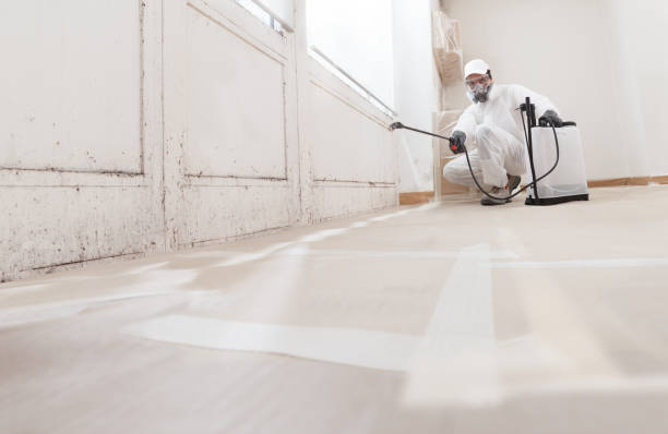 24/7 Emergency Mold Removal experts in Bellevue, MI
